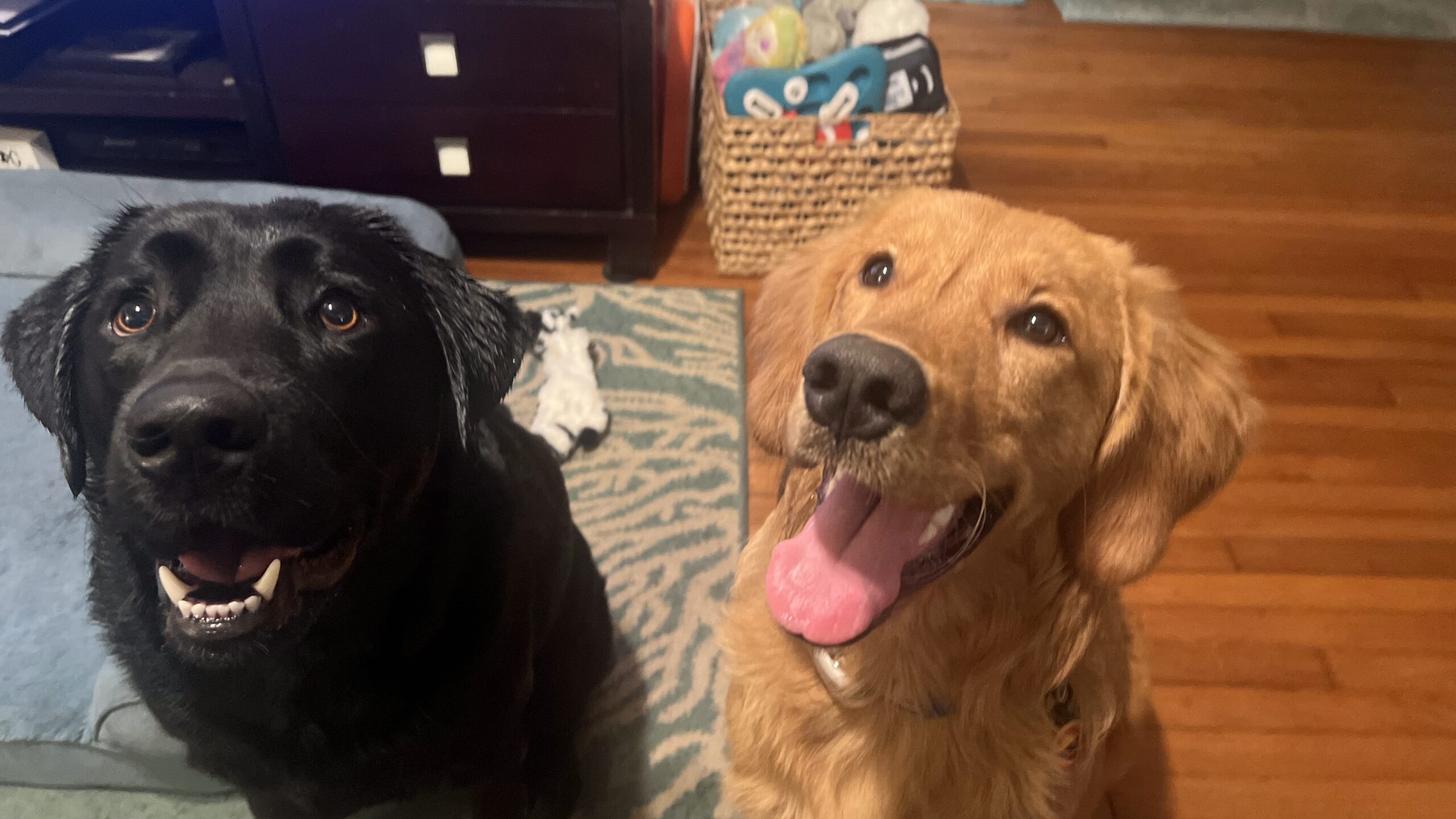 Thor and Irie